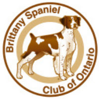 Brittany Spaniel Club Of Ontario [FIELD TEST]