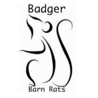 Badger Barn Rats [BARN HUNT]
