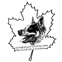 Australian Cattle Dog Club Of Canada [RALLY OBEDIENCE SANCTION MATCH]