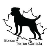 Border Terrier Canada [SPECIALTY]