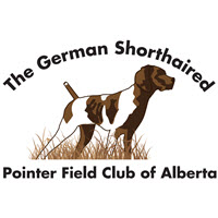 German Shorthaired Pointer Field Club Of Alberta [Water Test]