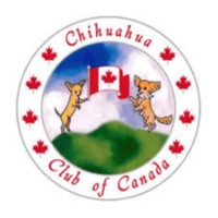 Chihuahua Club Of Canada