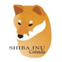 Shiba Inu Canada
