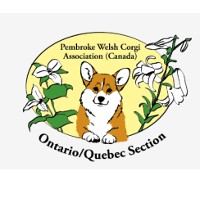Pembroke Welsh Corgi Association (Canada) Ontario/Quebec Section [REGIONAL]