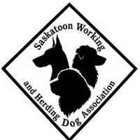 Saskatoon Working & Herding Dog Association [SPECIALTY]