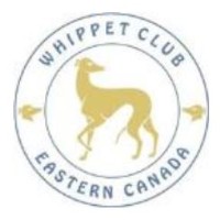 Whippet Club of Eastern Canada