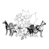 Northwestern Ontario Working Dog Association [GROUP SPECIALTY]