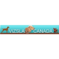 Vizsla Canada [NATIONAL]