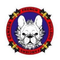 French Bulldog Fanciers Of Canada [REGIONAL]