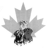 Labrador Retriever Club of Canada [REGIONAL]