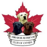 Labrador Retriever Club of Canada [REGIONAL]