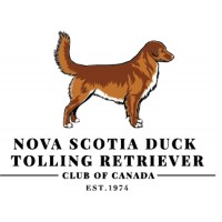 Nova Scotia Duck Tolling Retriever Club of Canada [SCENT DETECTION]
