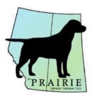 Prairie Labrador Retriever Club