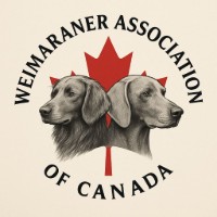 Weimaraner Association of Canada [NATIONAL]