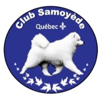 Club Samoyede Du Quebec