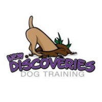 New Discoveries Dog Training [CARO RALLY]