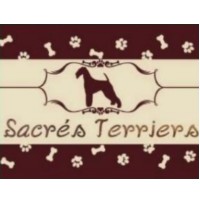 Sacres Terriers [RATS! CANADA]