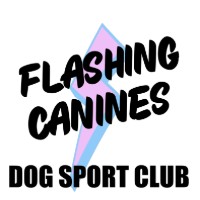 Flashing Canines Dog Sport Club [BARN HUNT]