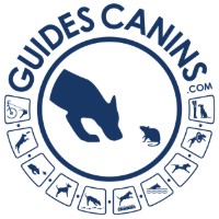 GUIDES CANINS [BARN HUNT FUN TEST]