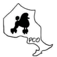 Poodle Club Of Ontario