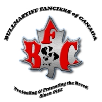 Bullmastiff Fanciers Of Canada [REGIONAL]
