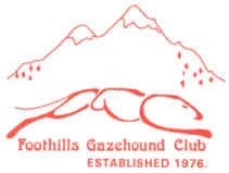 Foothills Gazehound Club