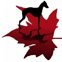 Italian Greyhound Club of Canada