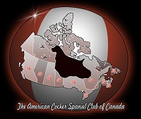 American Cocker Spaniel Club of Canada [SCENT DETECTION SANCTION MATCH]