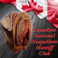 Canadian National Neapolitan Mastiff Club