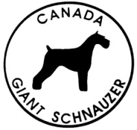 Giant Schnauzer Canada [NATIONAL]