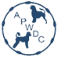 Alberta Portuguese Water Dog Club [SCENT DETECTION]