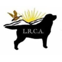 Labrador Retriever Club of Alberta [CONFORMATION SPECIALTY, OBEDIENCE, RALLY]