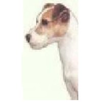 Canadian Association Of Parson Russell Terrier Fanciers [NATIONAL]