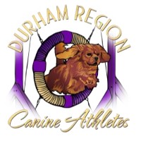 Durham Region Canine Athletes [AGILITY]