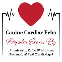 All Breed Echocardiogram Clinic with Dr. Luis Braz-Ruivo