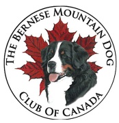 Bernese Mountain Dog Club of Canada [DRAFT DOG]