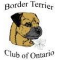 Border Terrier Club Of Ontario
