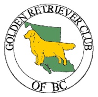 Golden Retriever Club Of British Columbia [SCENT DETECTION]