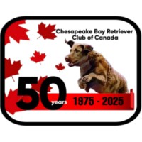 Chesapeake Bay Retriever Club of Canada [Hunt Test]