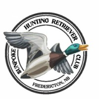 Sunpoke Hunting Retriever Club [HUNT TEST]