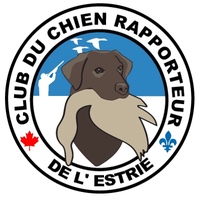 Club Du Chien Rapporteur De L'estrie [HUNT TEST]