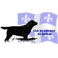 Club du Labrador du Quebec [WC TEST]