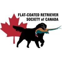Flat-Coated Retriever Society of Canada [NATIONAL]