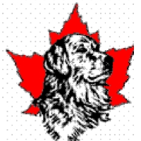 Golden Retriever Club of Canada [REGIONAL & NATIONAL]
