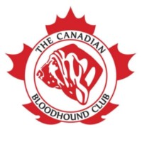 Canadian Bloodhound Club [SCENT DETECTION SANCTION MATCH]