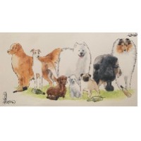 Tailgate Kennel Club of Calgary [SUPERMATCH 25]
