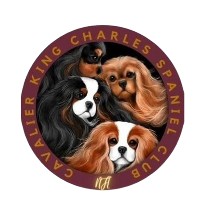 Cavalier King Charles Spaniel Club of Northern Florida