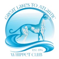 Great Lakes To Atlantic Whippet Club [CHASE ABILITY]